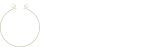 lifetime navigators logo white and gold